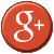 Google Icon